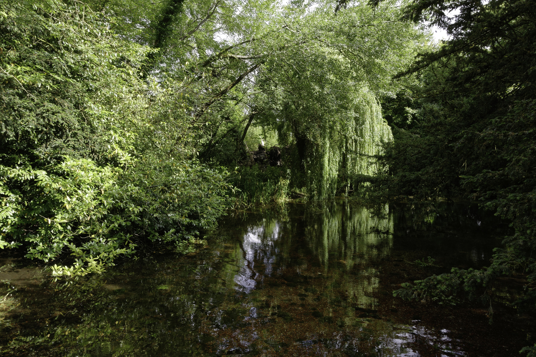 20160724 100542  Verwood, England, United Kingdom